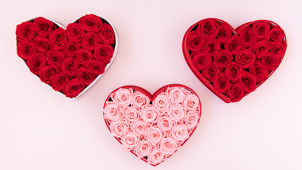 Almari Heart Rose Box - Blush Pink