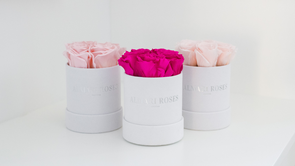 Almari Maison Courte 4 Rose Box - Blush Pink