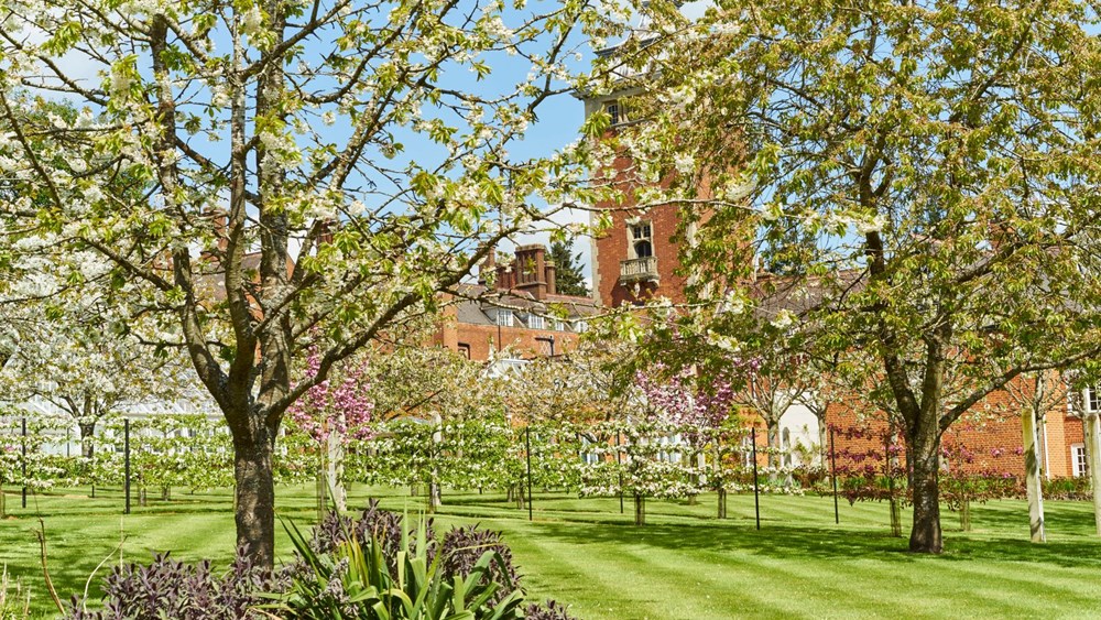 Guided Garden Tour with Afternoon Tea - Friday 24th May 2024
