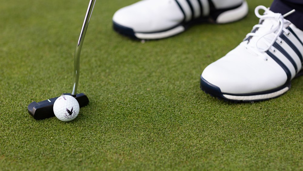 Golf Lessons - 1 Hour Lesson