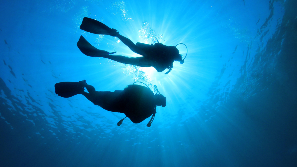 Ocean Explorer Dive Package | 3 days/6 dives