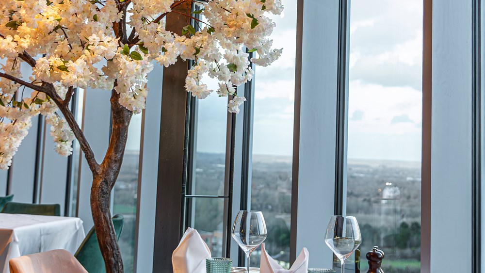 Opulent Experience