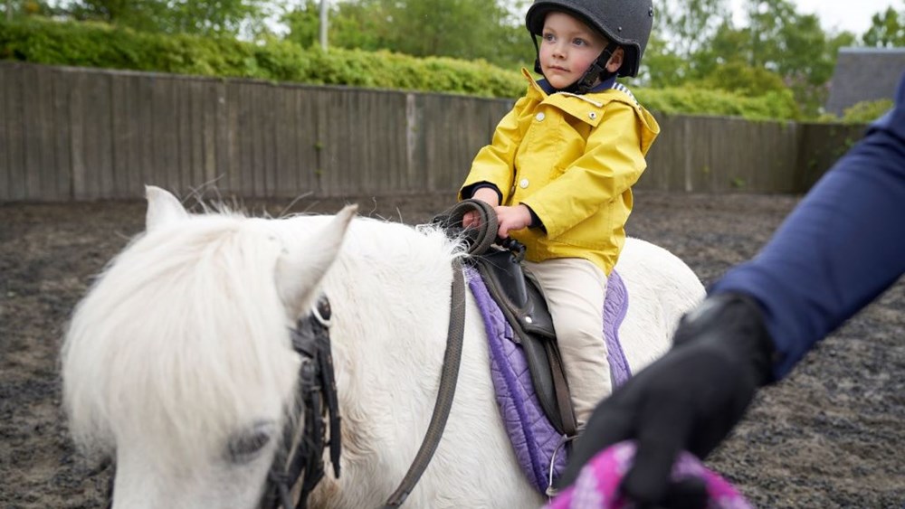 Pony rides for one gift voucher