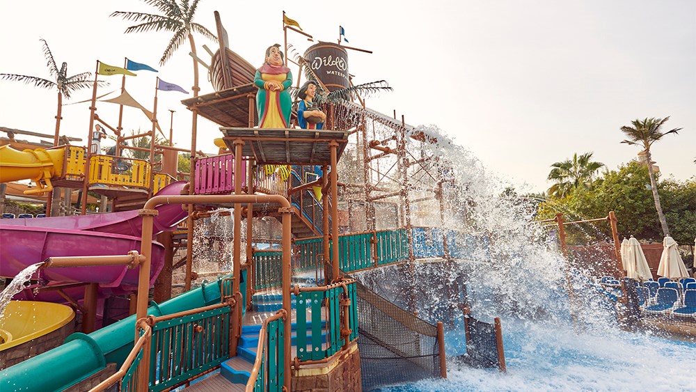 12-Months Annual Pass at Wild Wadi Waterpark™