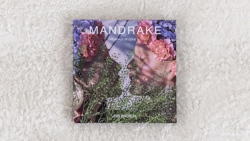Mandrake by Irish Brosch