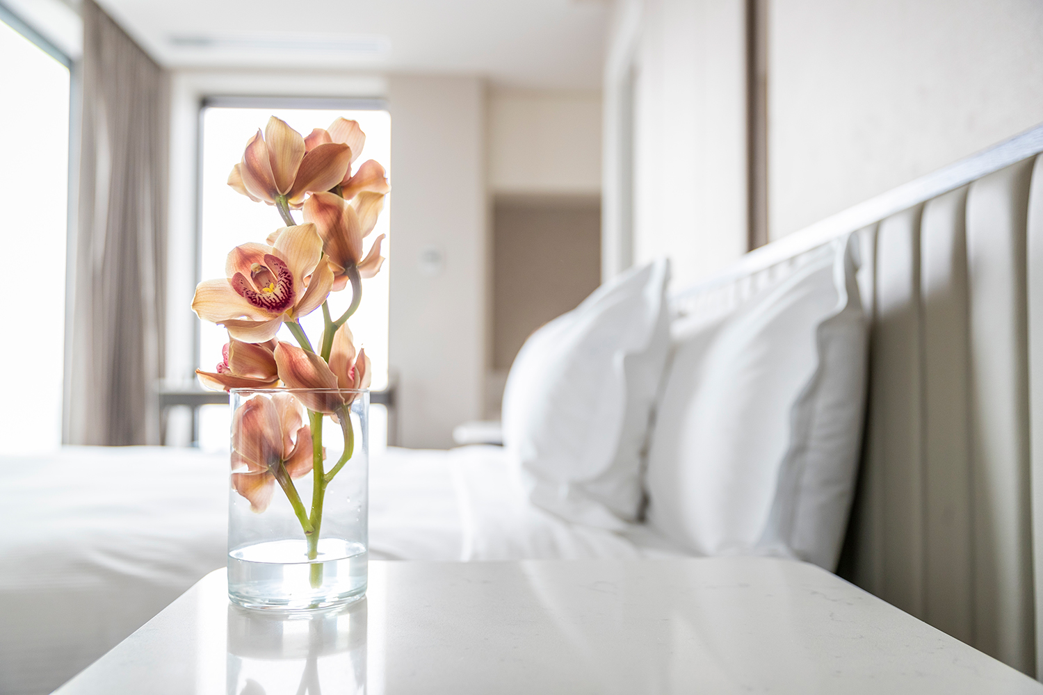 Cordis, Auckland Queen Mattress (153 x 203 cm)