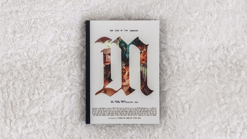 Ten Days at The Mandrake by Harris Nukem