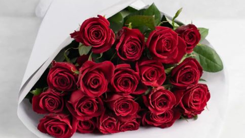 Two dozen roses